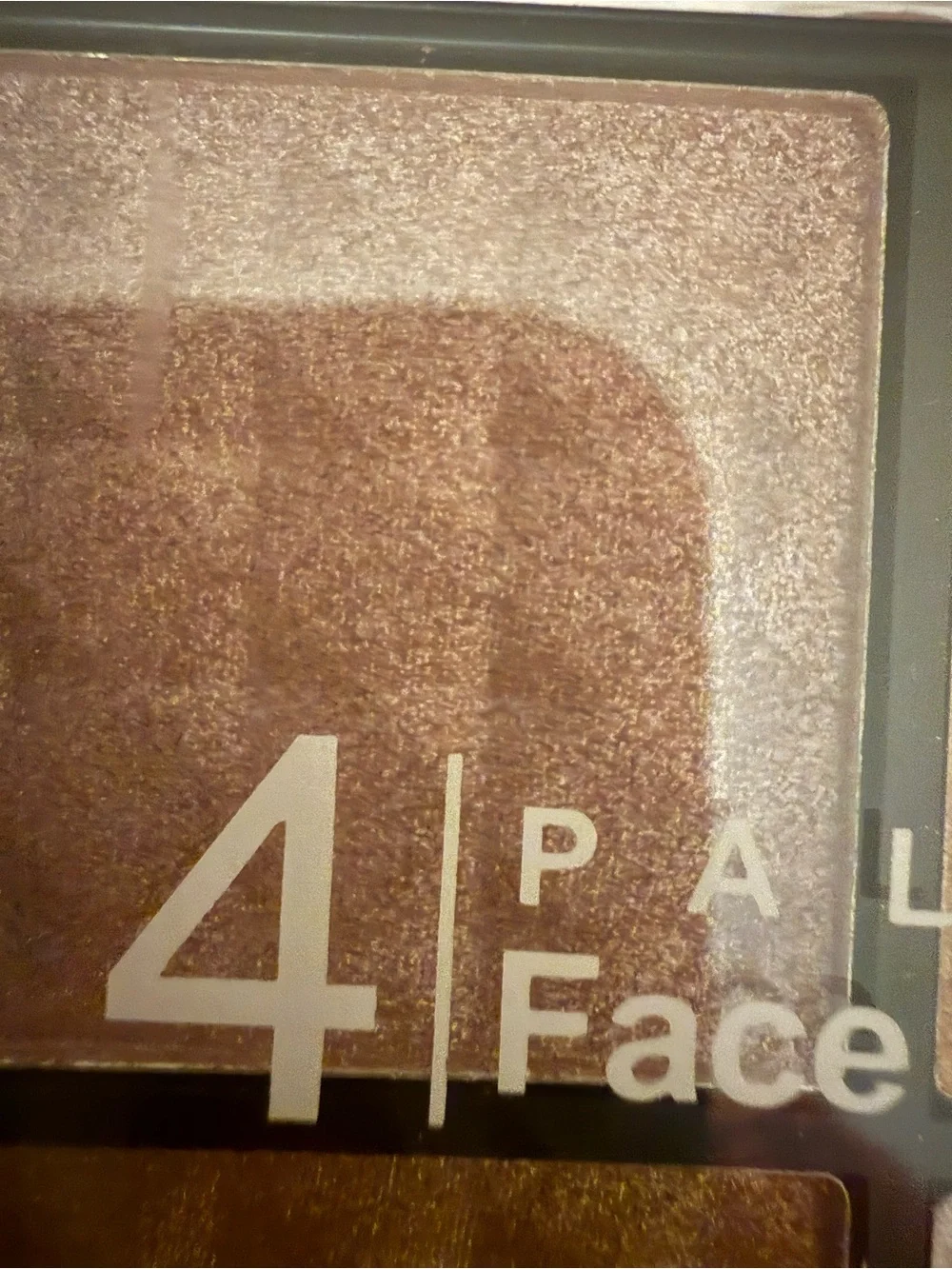 Santee Face Contour Palette featuring four pigmented shades in a black case.
